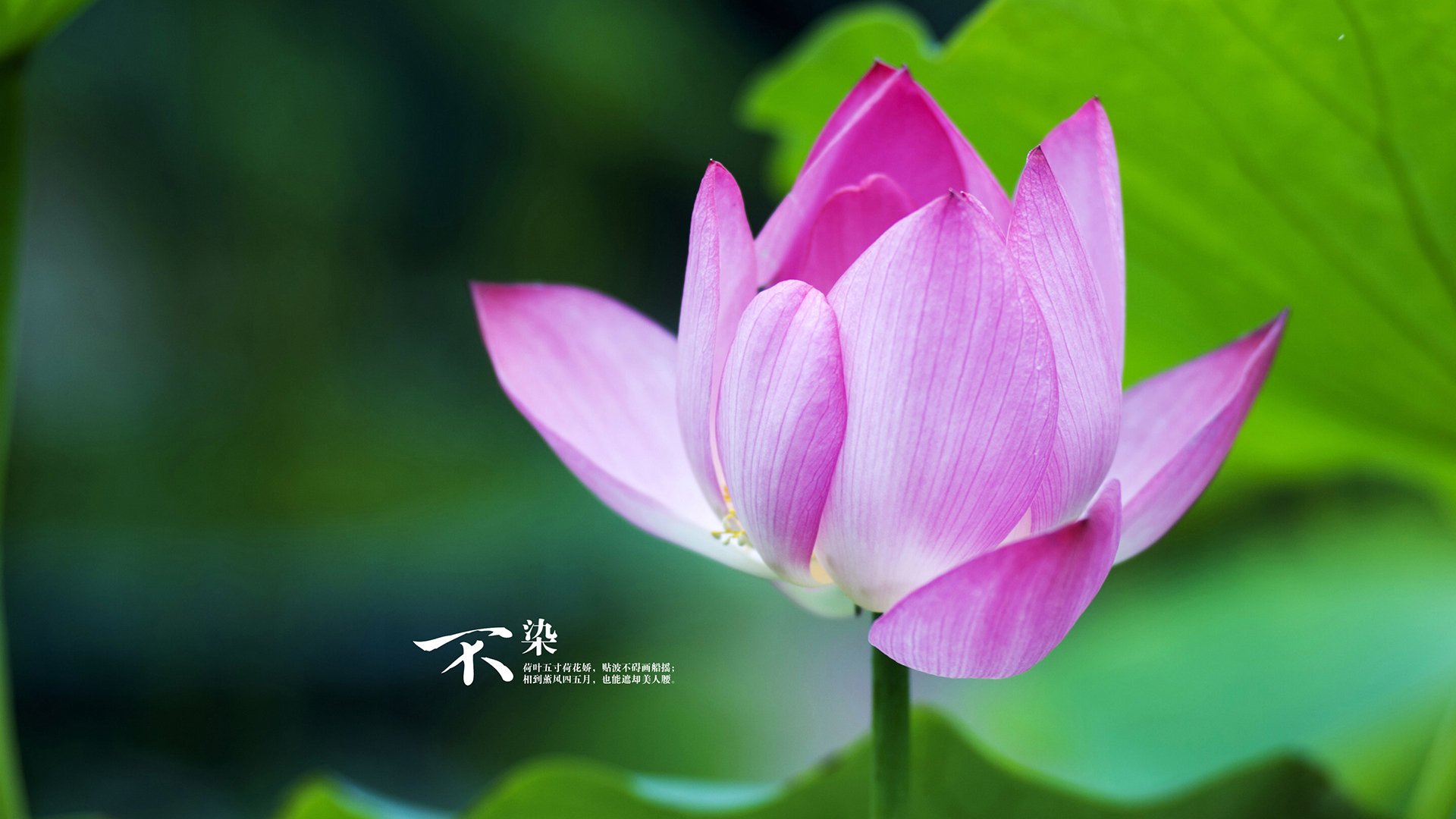 奥亚尔萨瓦尔爆发破僵局，马赛主场强行终结卡塔尔时代？